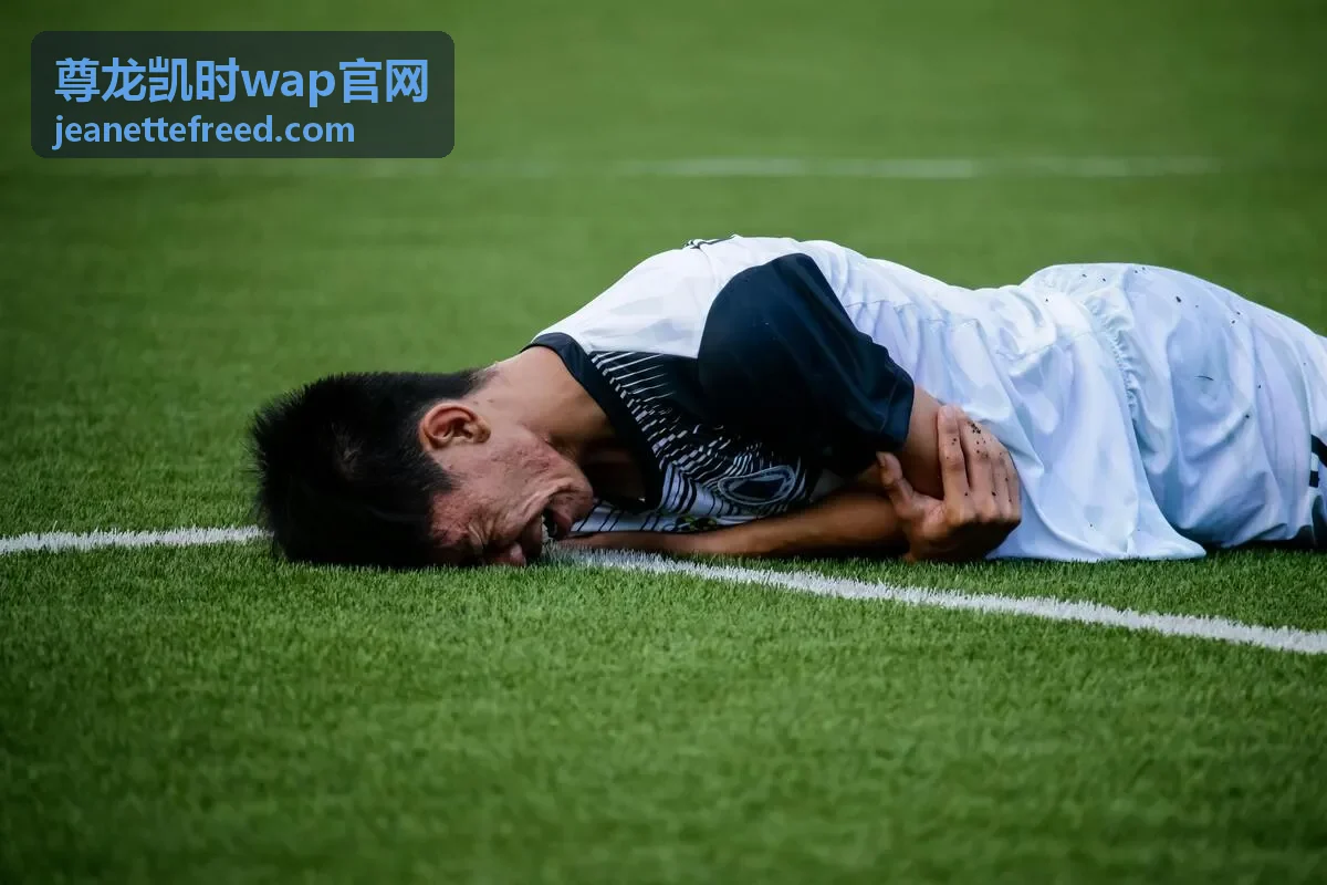 尊龙凯时wap官网 常见问题封面图